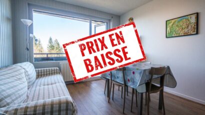 2 Pieces – 152000€ – Cyclamens – 2321