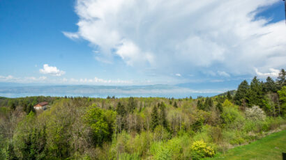 2 Pieces – 135000 – Panoramic – 2291
